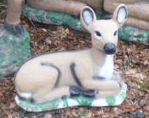 Resting Fawn