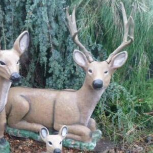 Resting Buck LG