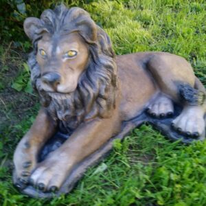 Resting Lion