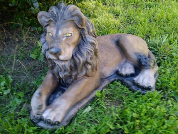 Resting Lion