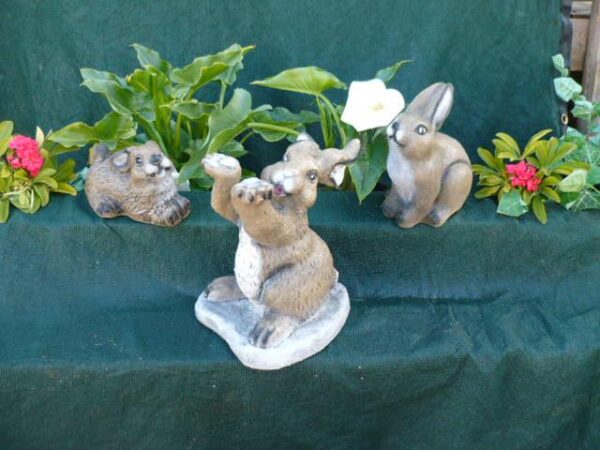 Playful Rabbit