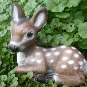 Resting fawn SM