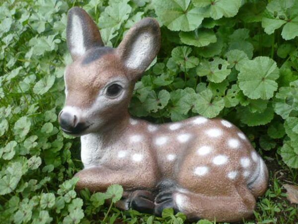 Resting fawn SM