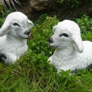 Reclined Lamb