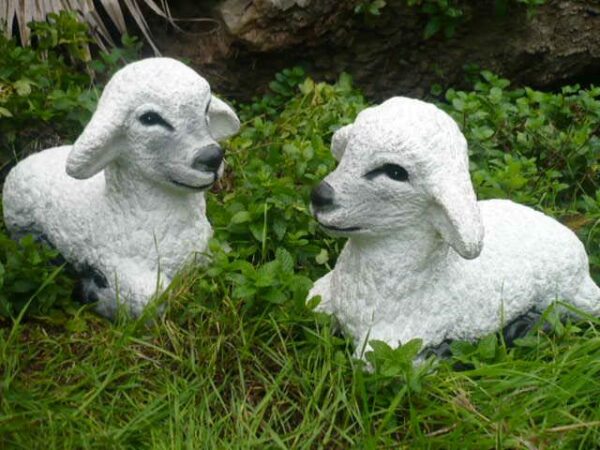 Reclined Lamb